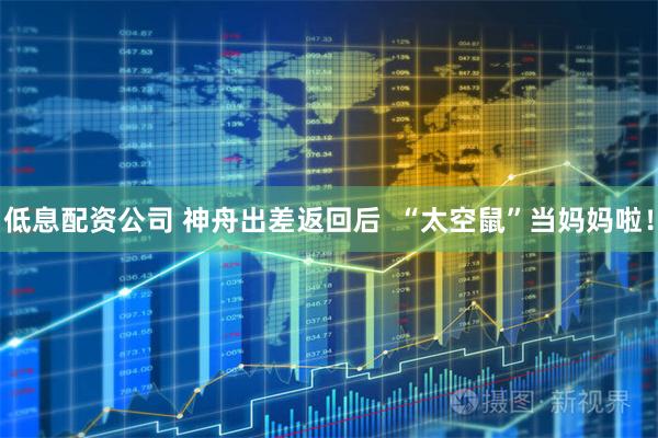 低息配资公司 神舟出差返回后  “太空鼠”当妈妈啦！